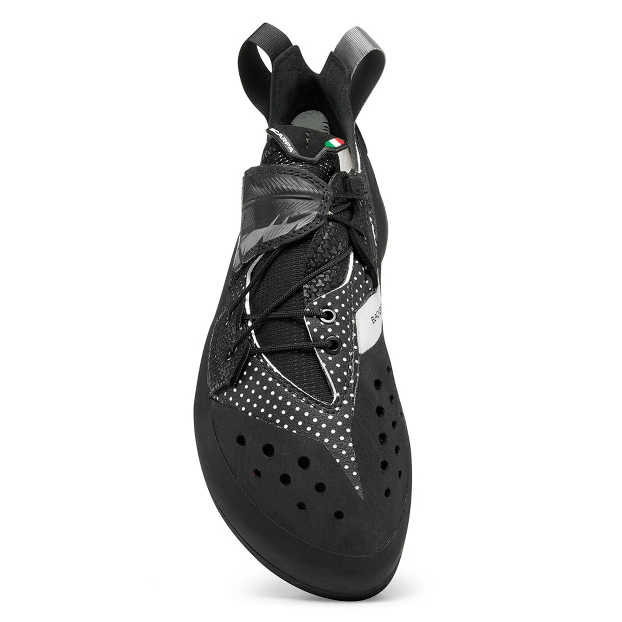 Blackbird - Image 6