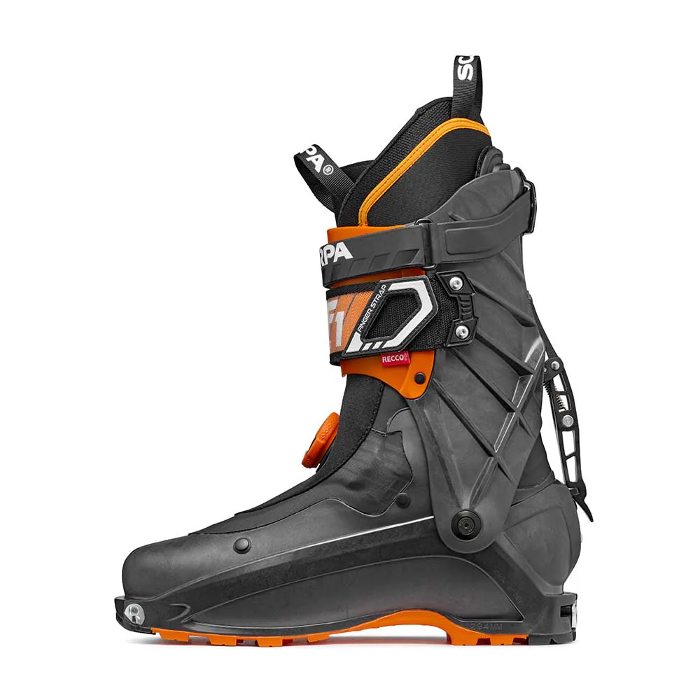 F1 LT - Image 3